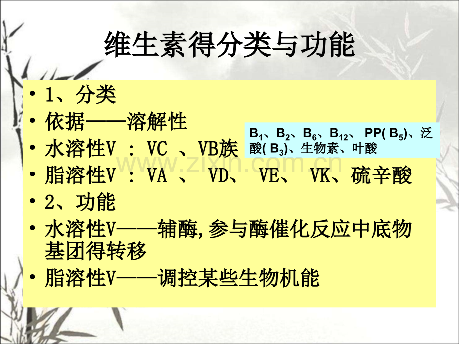 食品生物化学维生素与辅酶.pptx_第3页