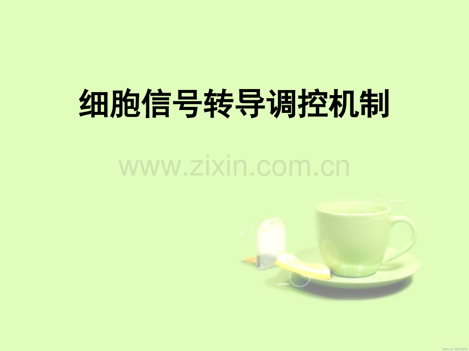 细胞信号转导调控机制.ppt_第1页