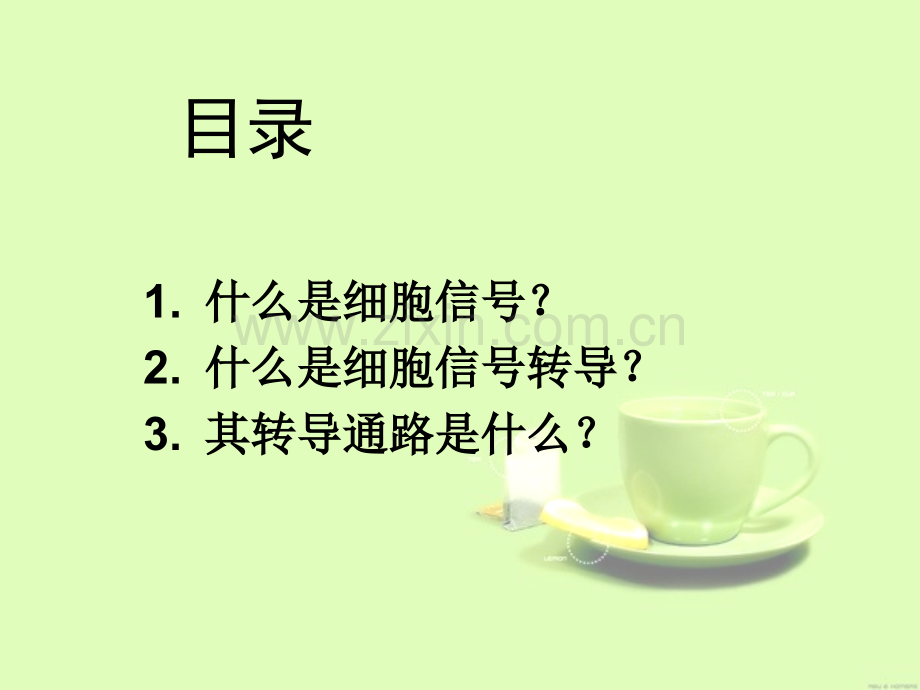 细胞信号转导调控机制.ppt_第2页