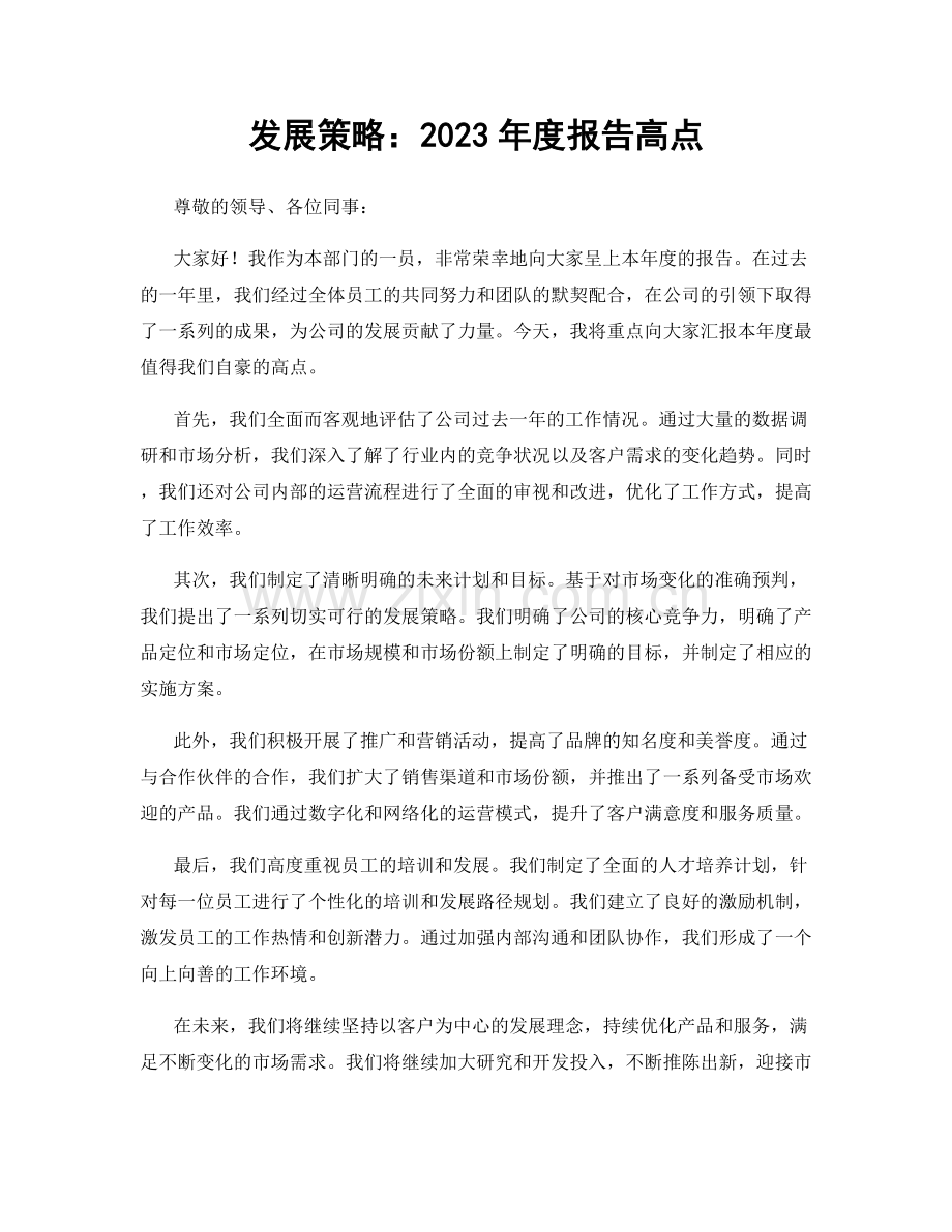 发展策略：2023年度报告高点.docx_第1页