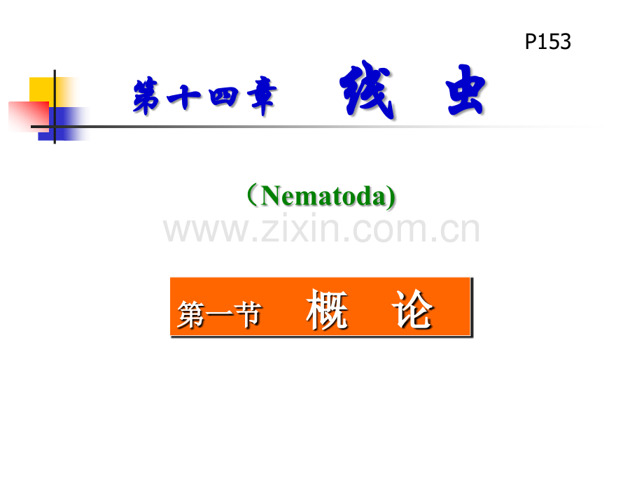 2蛔虫鞭虫蛲虫钩虫.ppt_第2页