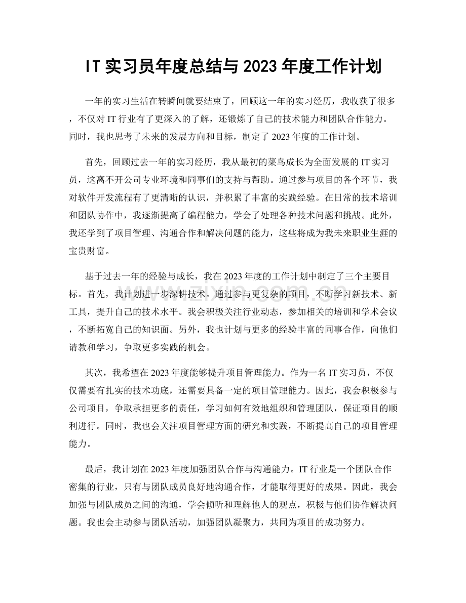 IT实习员年度总结与2023年度工作计划.docx_第1页