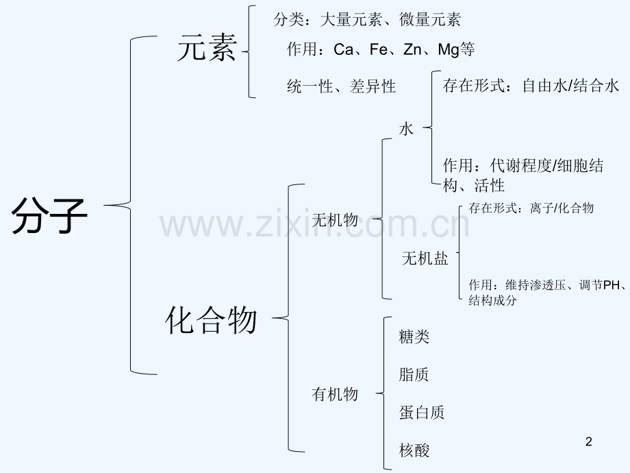 高中生物复习高中生物思维导图-PPT.ppt_第2页