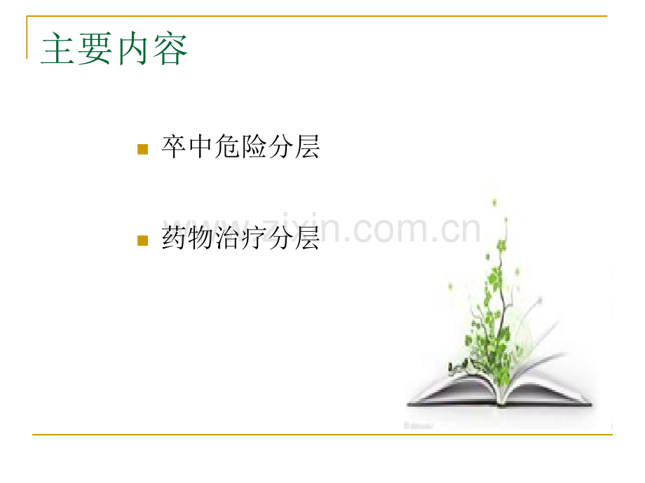 缺血性卒中的分层管理.ppt_第2页