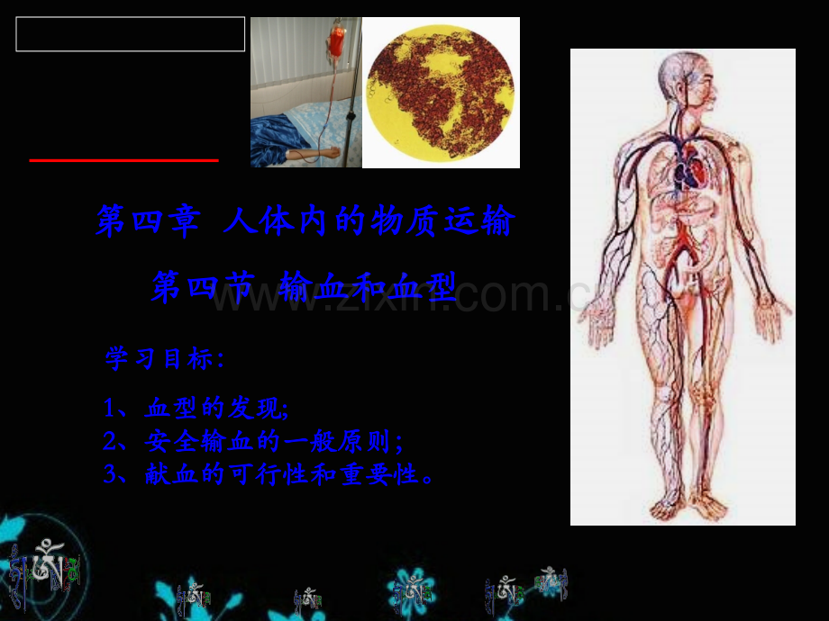 生物：输血和血型课件人教版七年级下.ppt_第1页