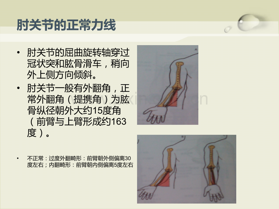 肘关节生物力学ppt.ppt_第2页