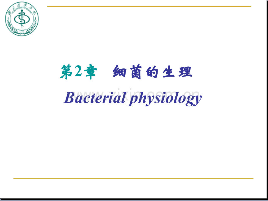 医学微生物学(第八版)第二章细菌的生理.ppt_第1页