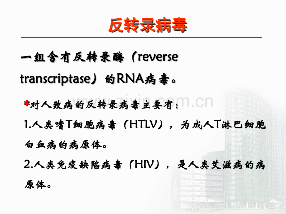 反转录病毒-.ppt_第2页