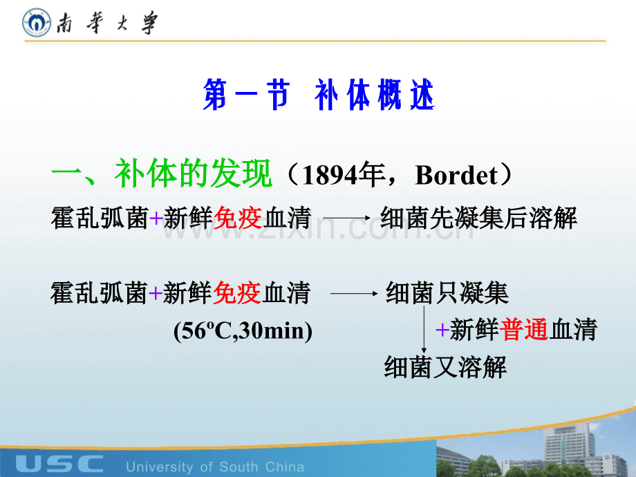 医学免疫学补体系统.ppt_第2页