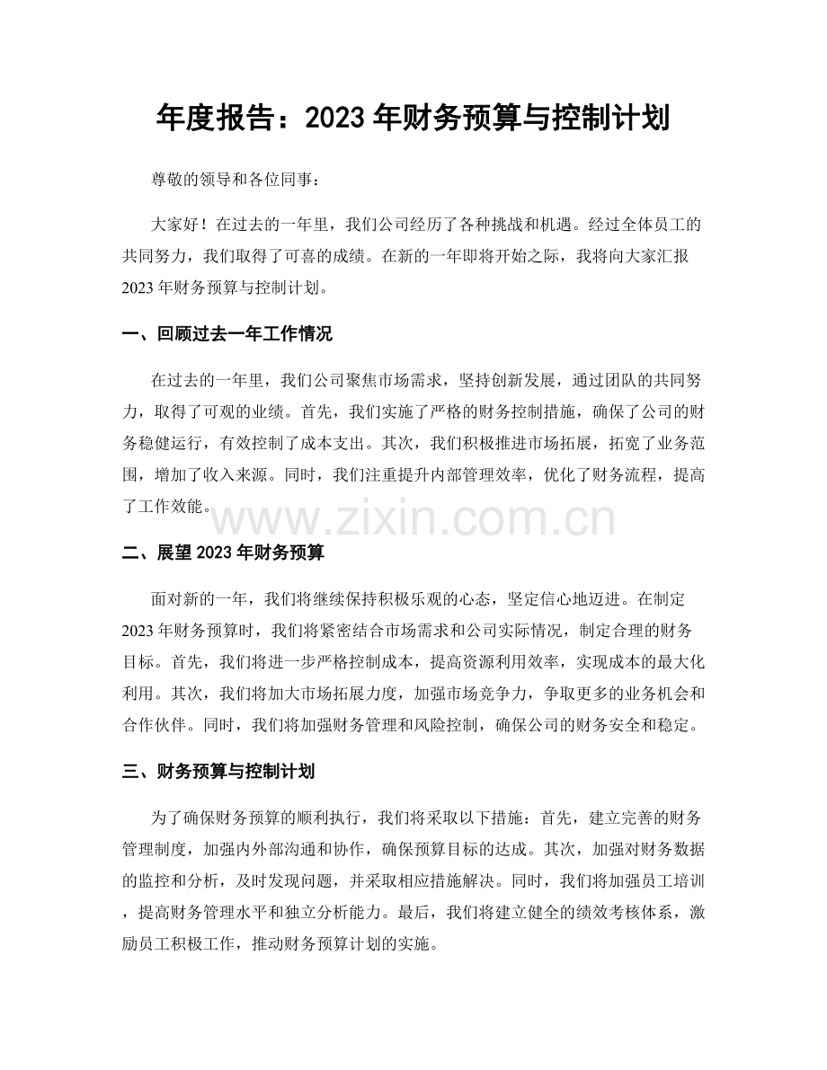 年度报告：2023年财务预算与控制计划.docx_第1页