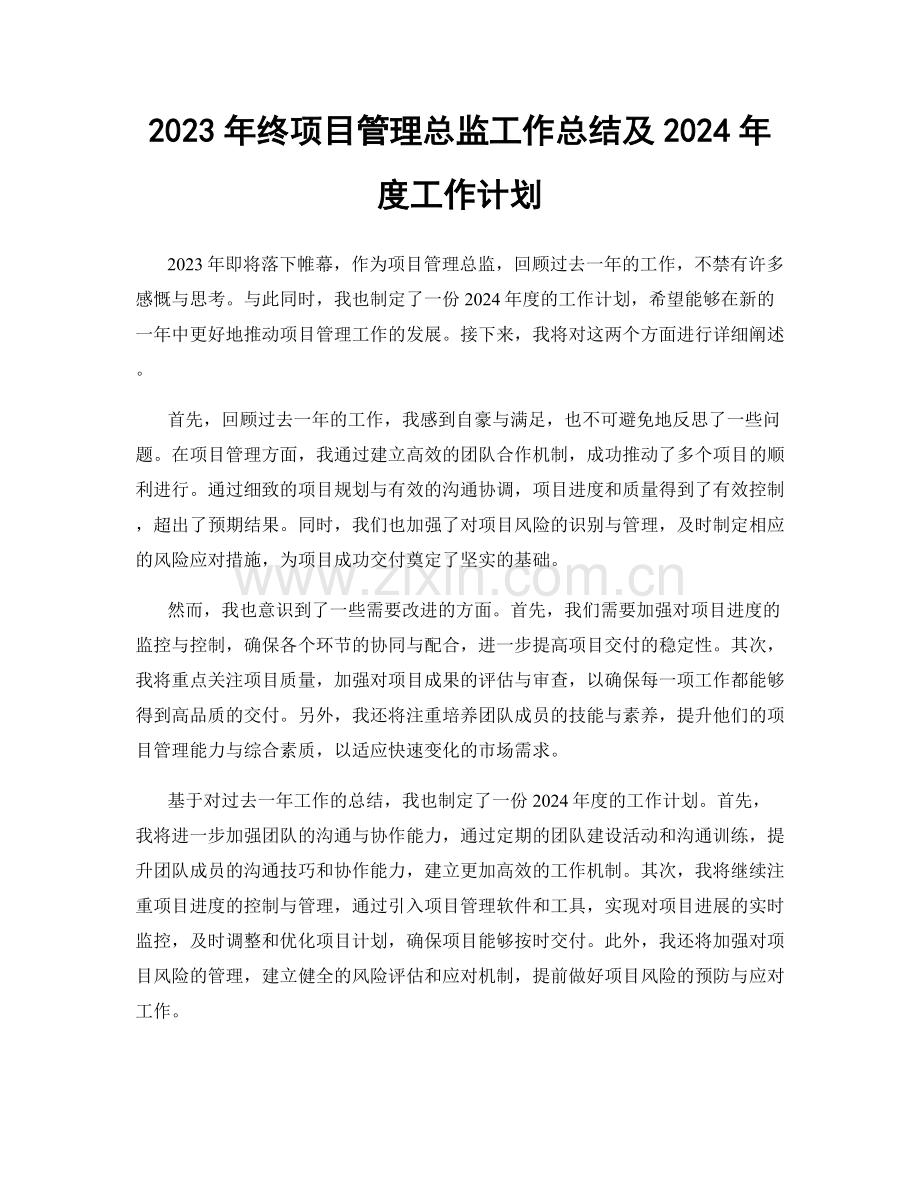 2023年终项目管理总监工作总结及2024年度工作计划.docx_第1页