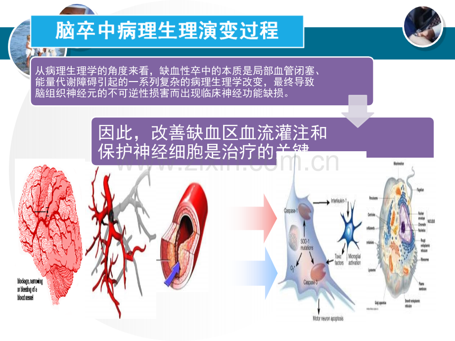 急性脑梗塞的病理生理与治疗策略.ppt_第3页