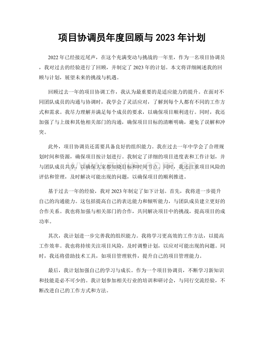 项目协调员年度回顾与2023年计划.docx_第1页