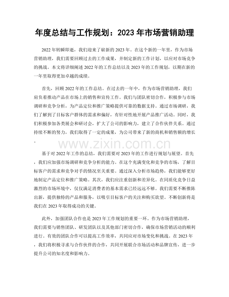 年度总结与工作规划：2023年市场营销助理.docx_第1页