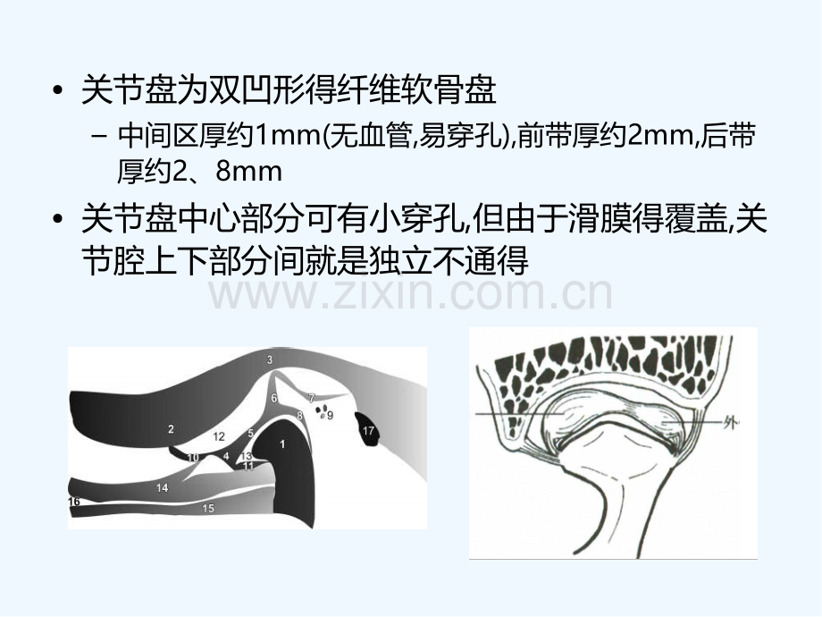 颞下颌关节紊乱表现.pptx_第3页