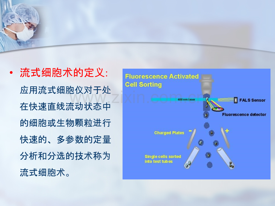 流式细胞仪.ppt_第3页