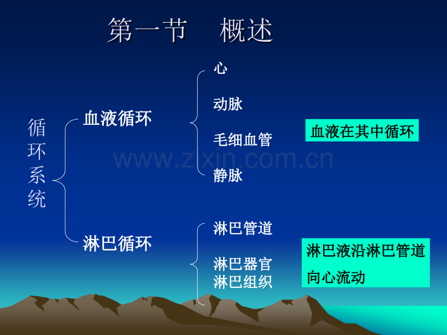 《人体解剖学》课件-第六章循环系统.ppt_第2页