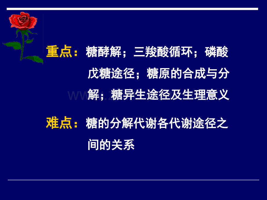 生物化学课件7糖代谢.ppt_第3页