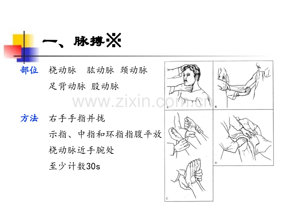 心脏血管检查.ppt_第3页