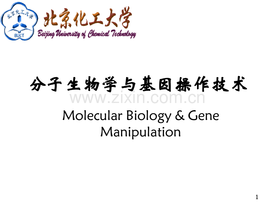 分子生物学第一章--绪论.ppt_第1页