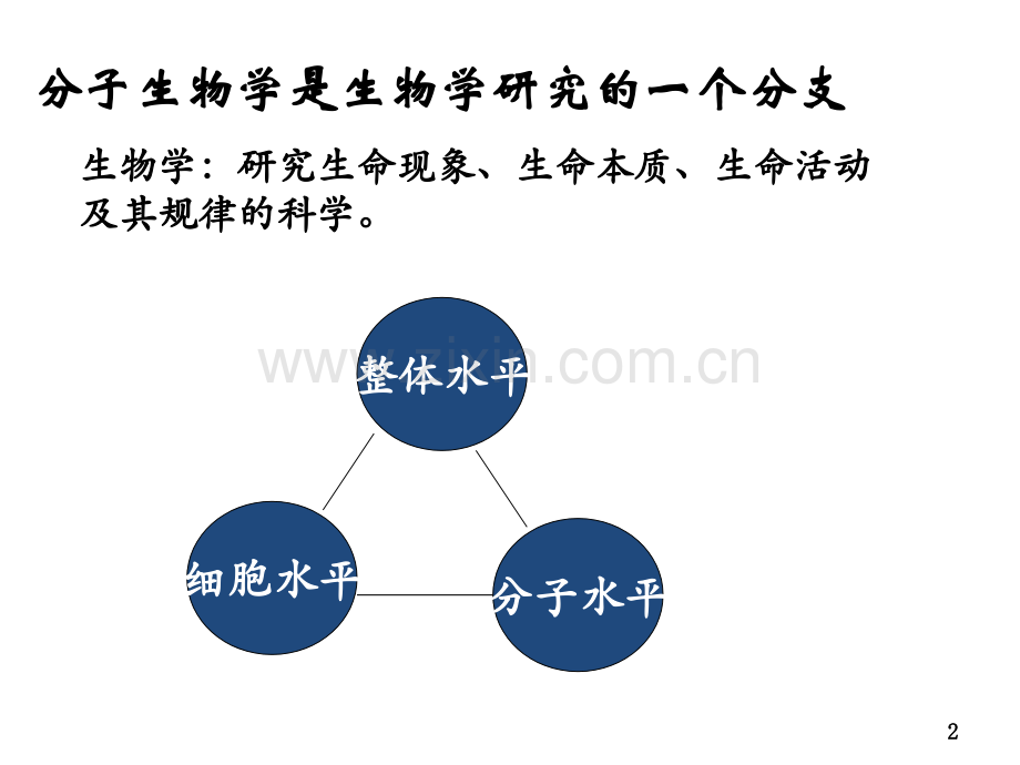 分子生物学第一章--绪论.ppt_第2页