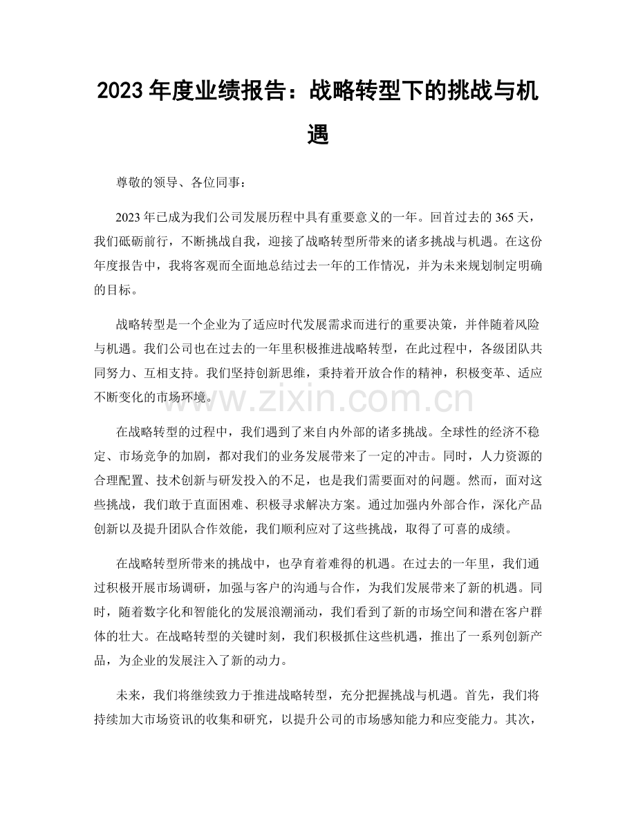 2023年度业绩报告：战略转型下的挑战与机遇.docx_第1页