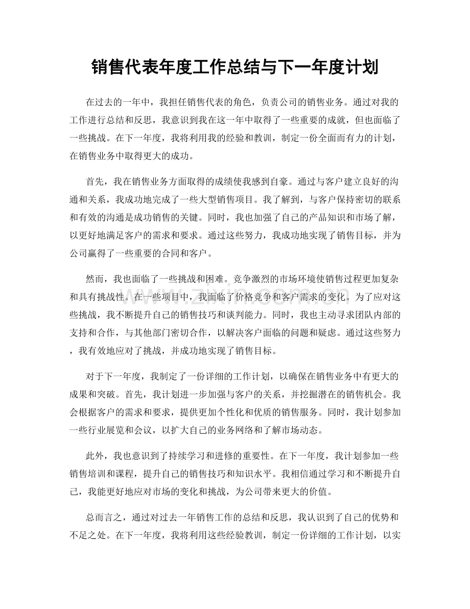 销售代表年度工作总结与下一年度计划.docx_第1页