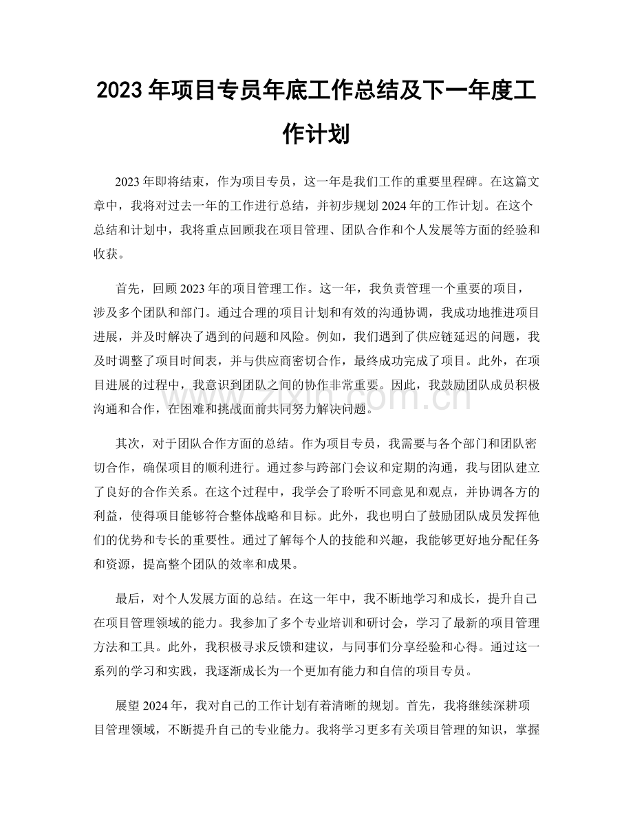 2023年项目专员年底工作总结及下一年度工作计划.docx_第1页