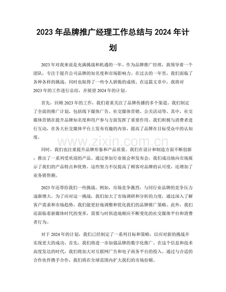 2023年品牌推广经理工作总结与2024年计划.docx_第1页