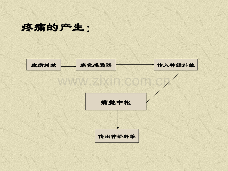 急性腹痛诊断思路修改重要要[5.ppt_第3页