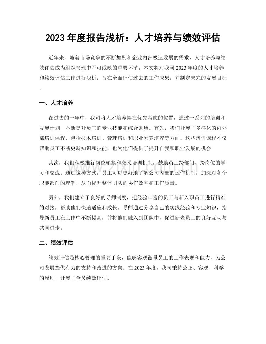 2023年度报告浅析：人才培养与绩效评估.docx_第1页