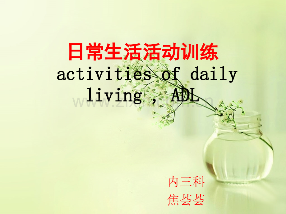 个人ADL训练.ppt_第1页