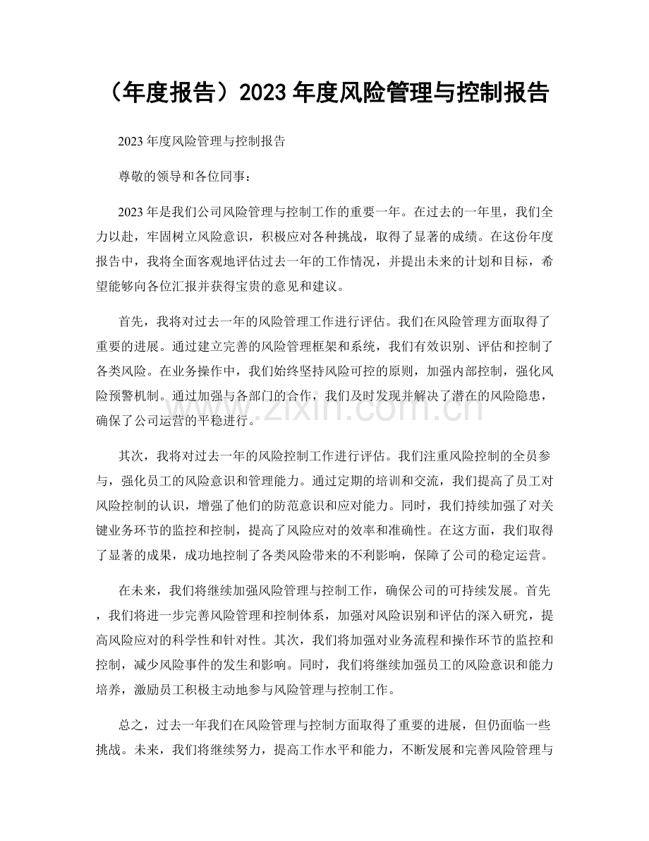 2023年度风险管理与控制报告.docx_第1页