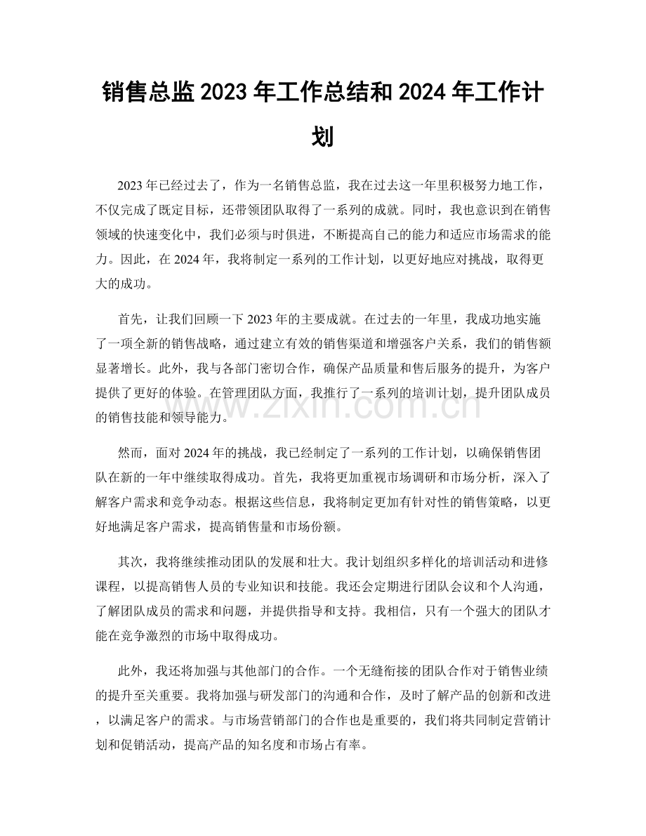 销售总监2023年工作总结和2024年工作计划.docx_第1页