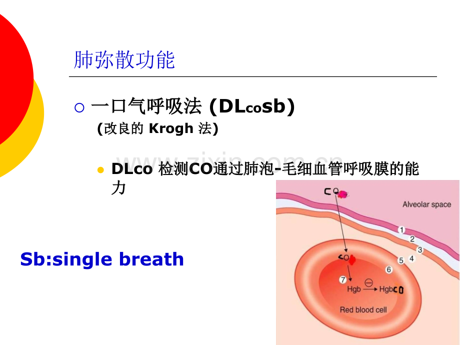 肺弥散功能检查.ppt_第2页