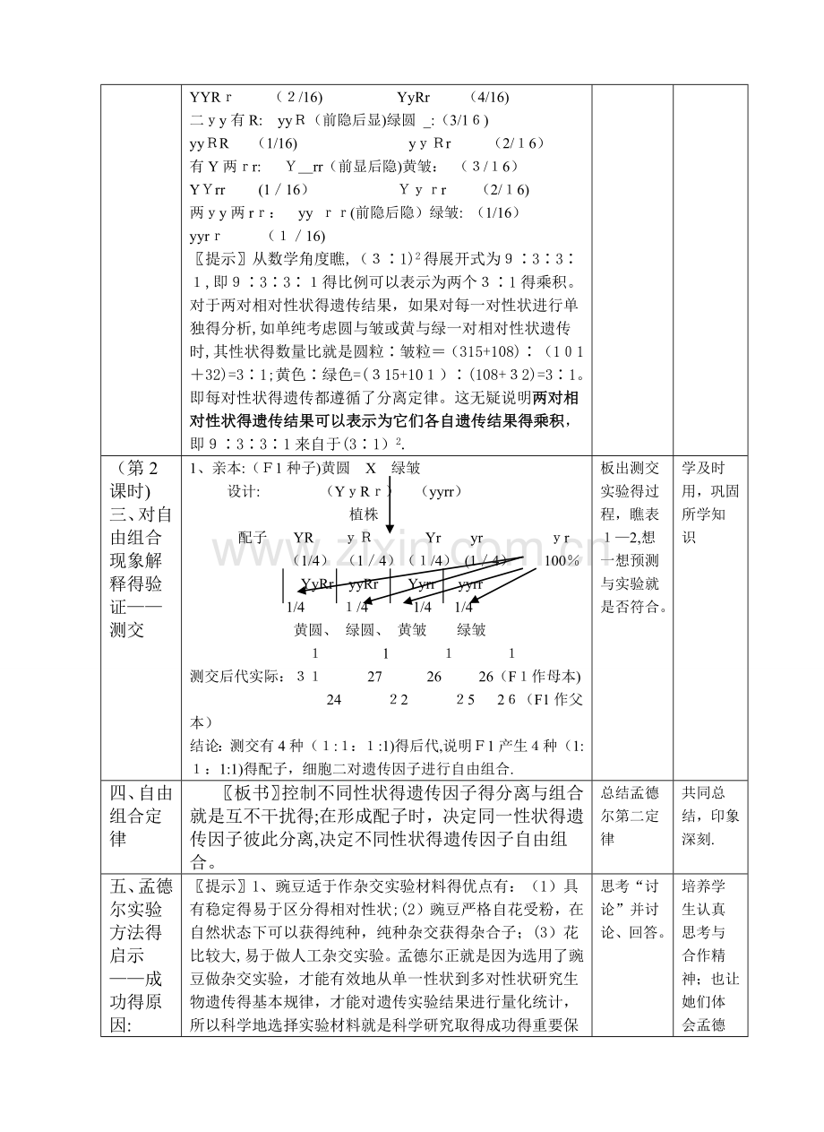 高中生物第2节-孟德尔的豌豆杂交实验(二)-教案.doc_第3页