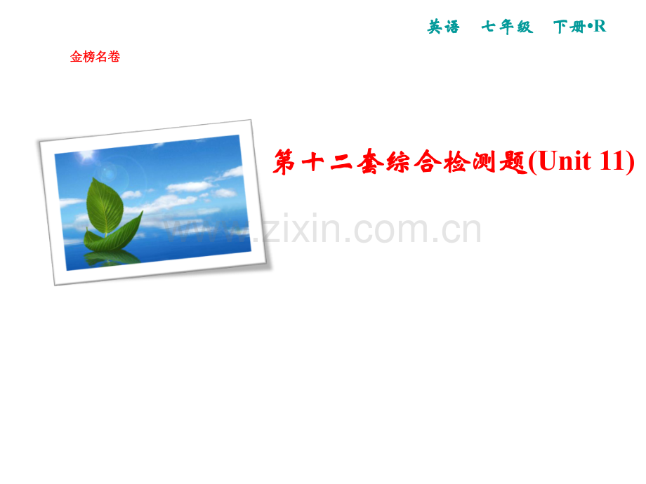 2019春人教版七年级英语下册复习课件：第十二套综合检测题(Unit-11)(共31张PPT).ppt_第1页