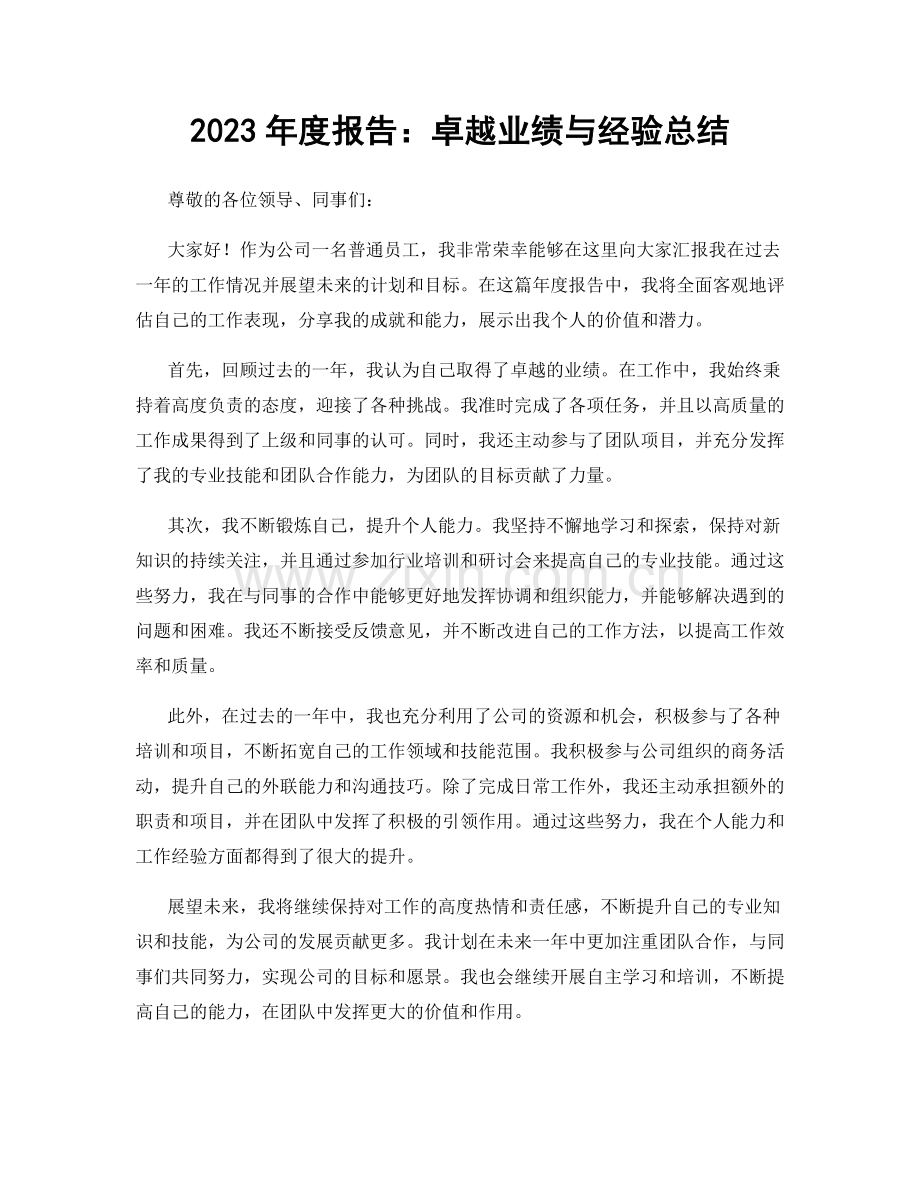 2023年度报告：卓越业绩与经验总结.docx_第1页