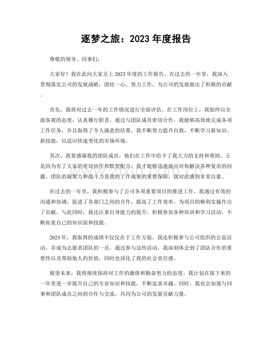 逐梦之旅：2023年度报告.docx_第1页