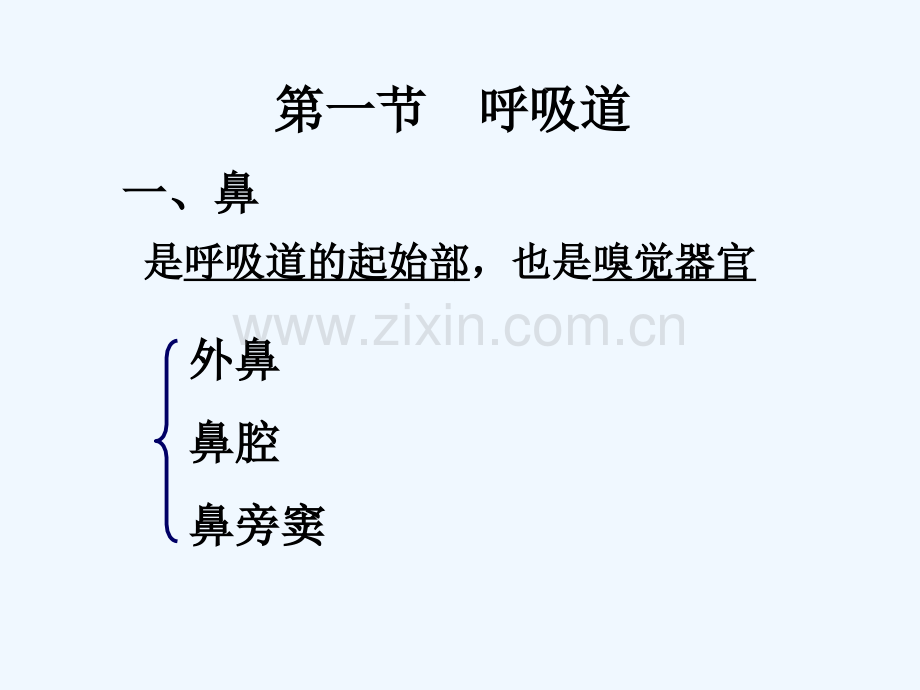 人体解剖学之呼吸系统课件-PPT.ppt_第3页
