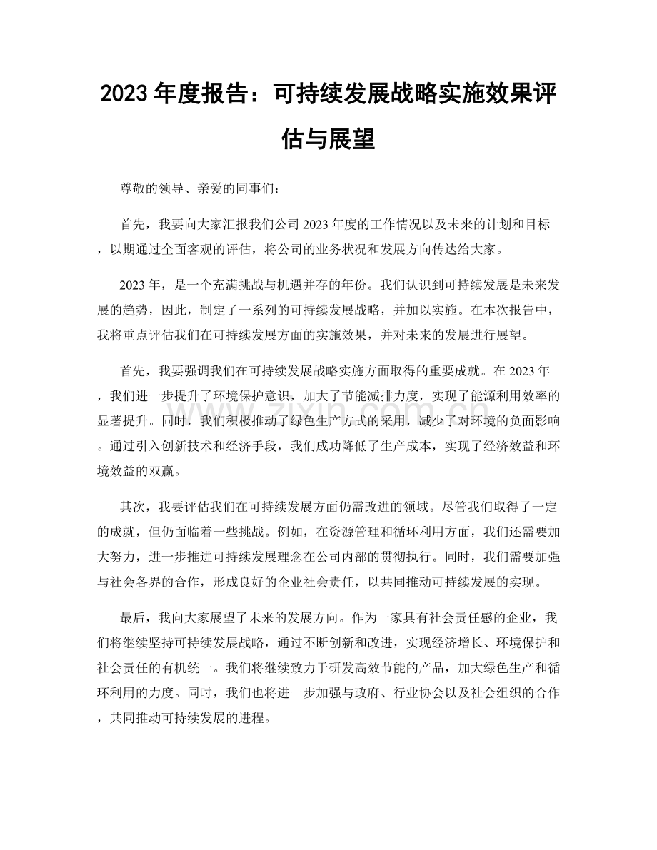 2023年度报告：可持续发展战略实施效果评估与展望.docx_第1页