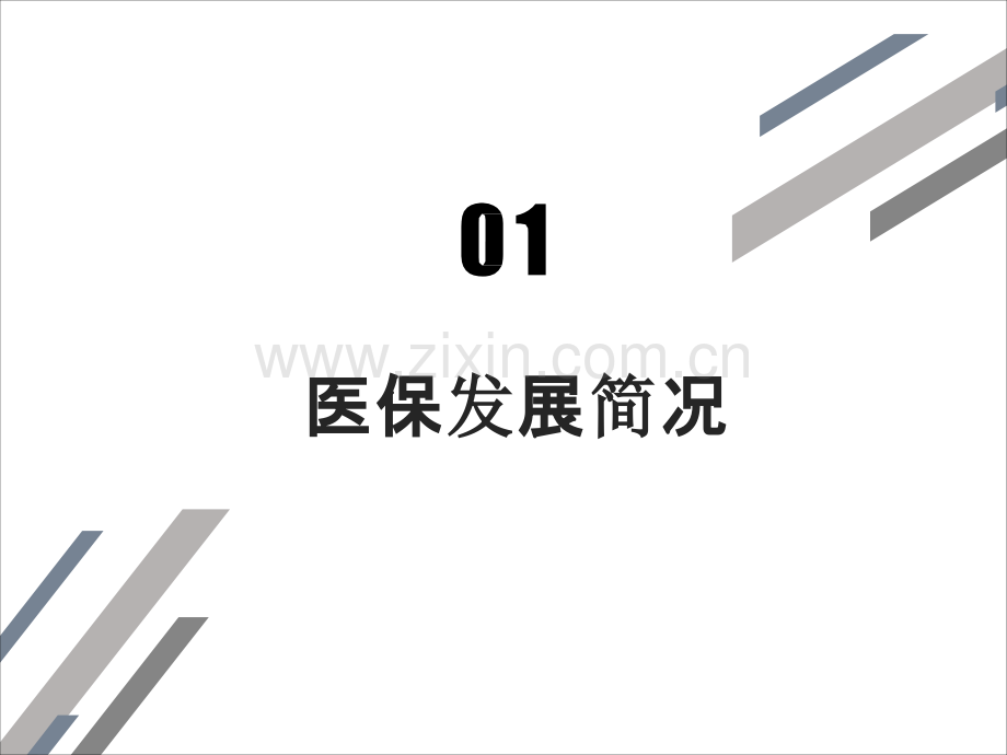 规范诊疗与收费行为-确保医保基金安全高效.pptx_第3页