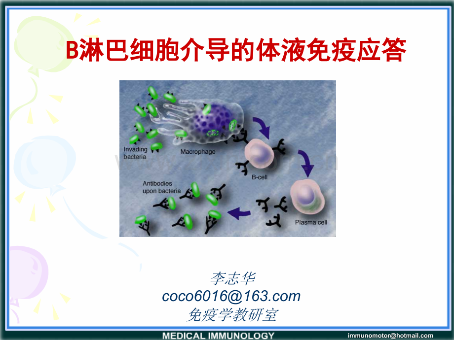 医学免疫学第6版课件-B介导的体液免疫.ppt_第1页