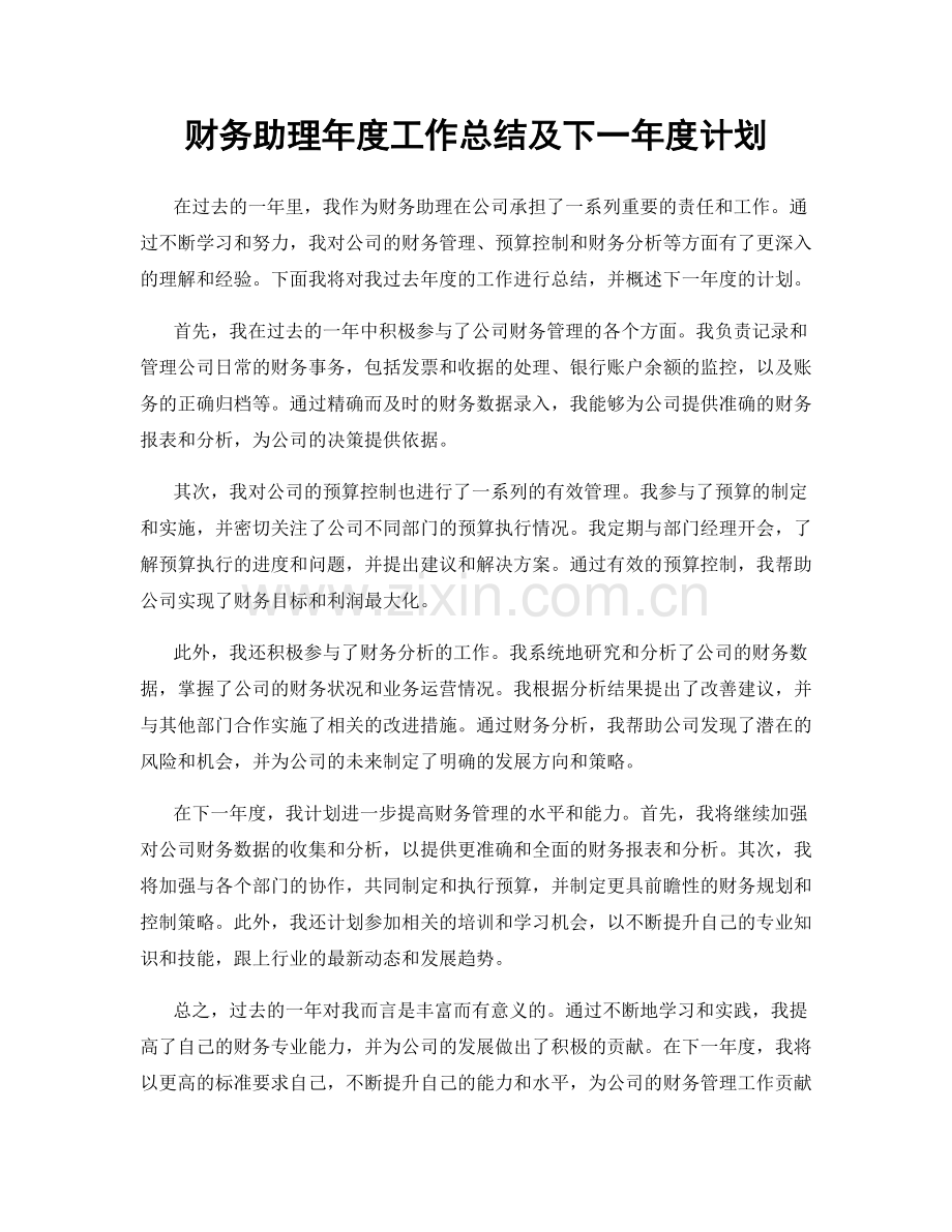 财务助理年度工作总结及下一年度计划.docx_第1页