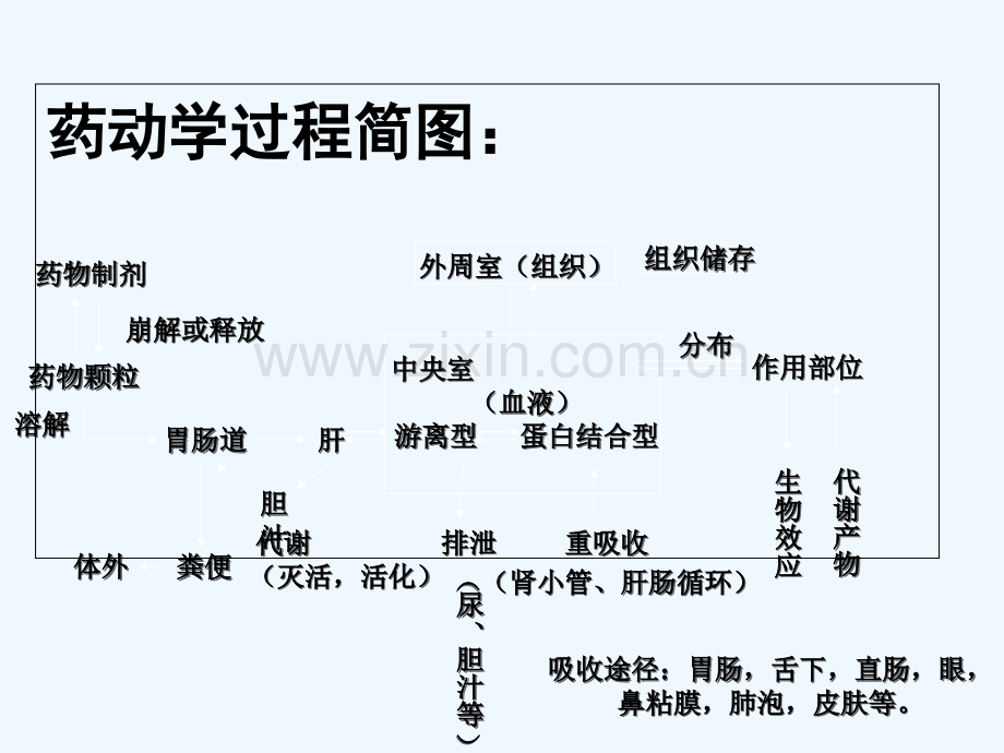 药理学第三章-PPT.ppt_第3页