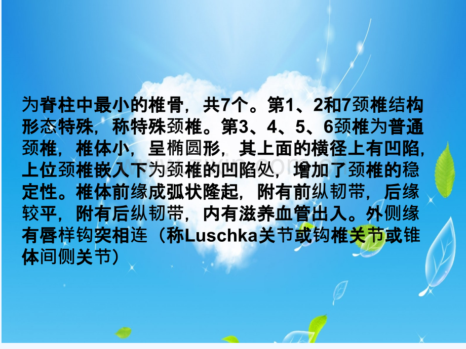 颈椎脱位护理查房-PPT.pptx_第3页