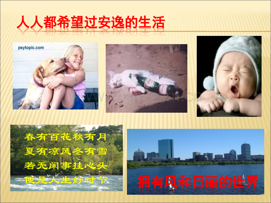 心理学讲座-压力管理ppt.ppt_第2页