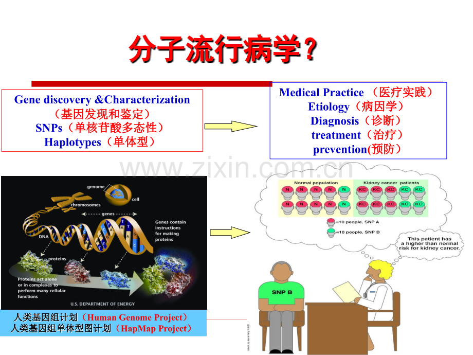 分子流行病学-上传.ppt_第2页