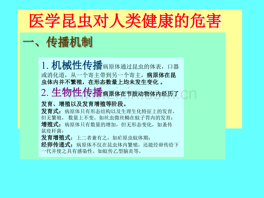 医学昆虫概论.ppt_第3页