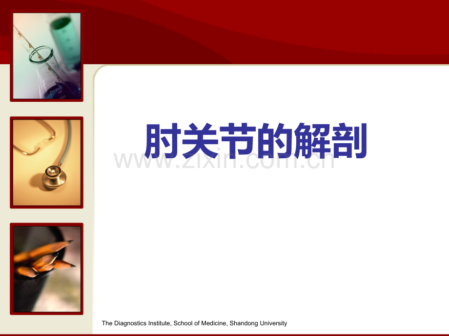 肘部解剖.ppt_第1页